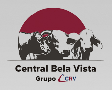 Central Bela Vista